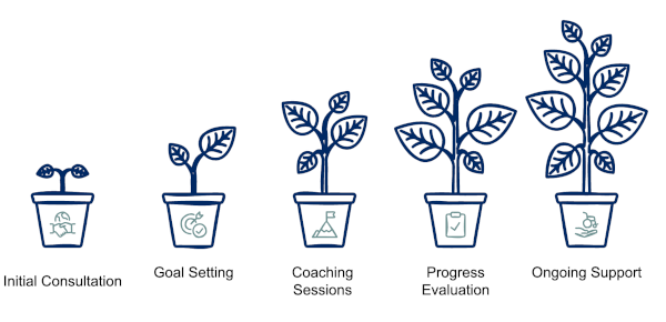 Growth process steps